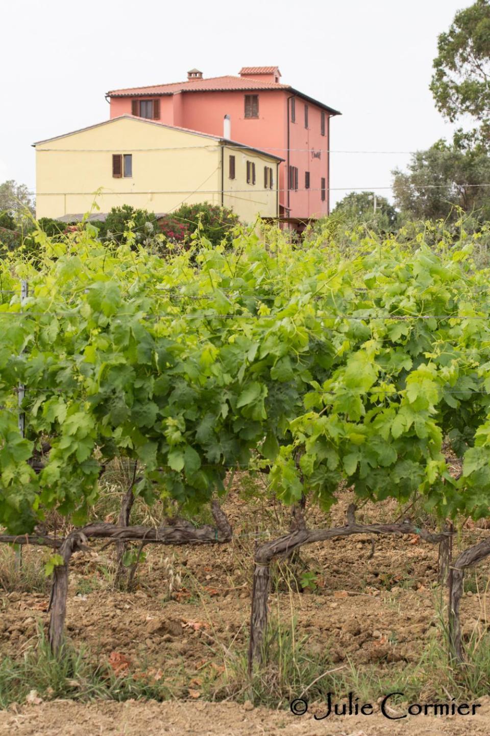 Brancatelli Riotorto