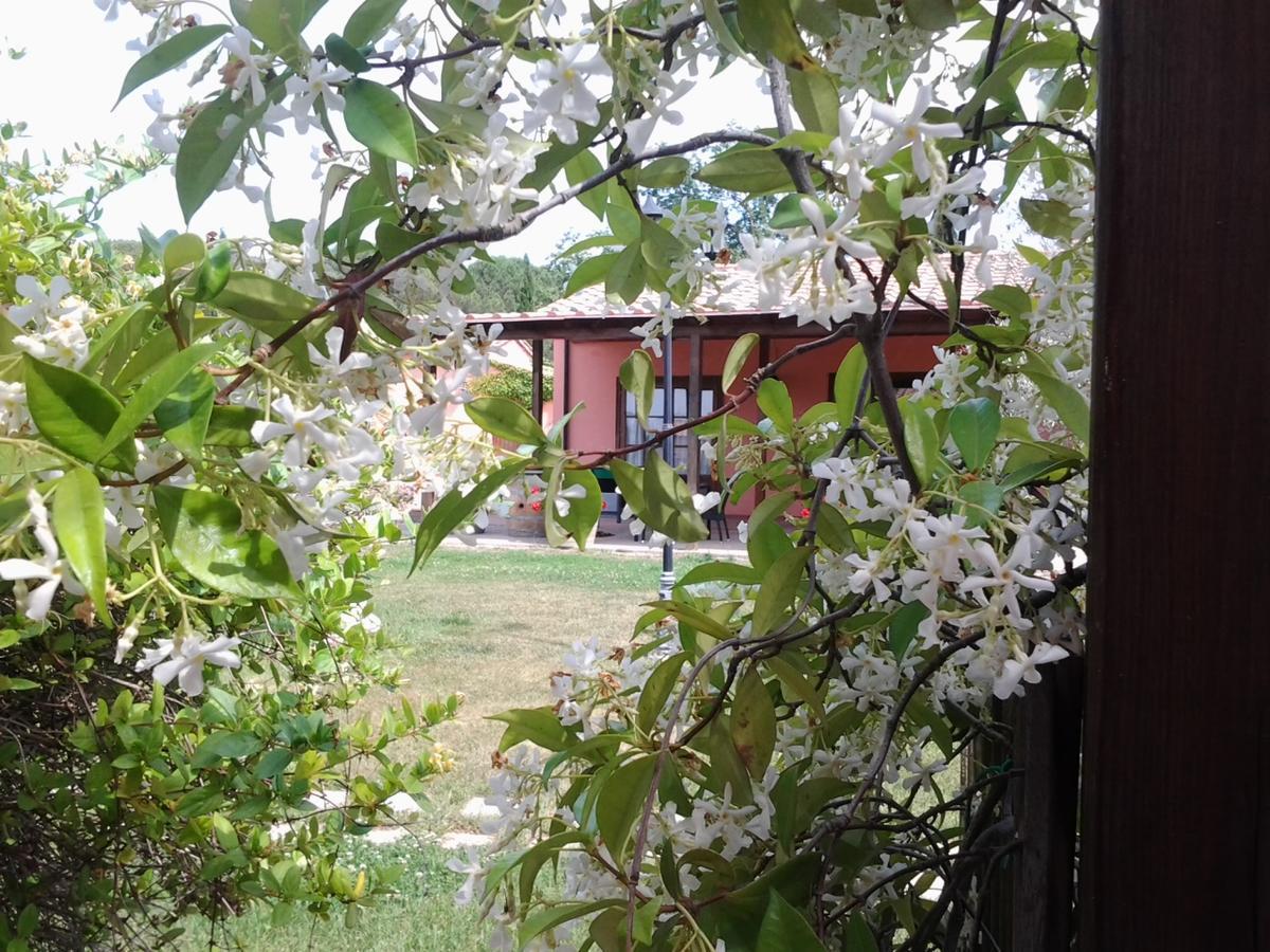 Brancatelli *
